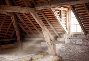 Our Pleasanton Based Experts Offer Attic Cleaning Rodent Proofing Services