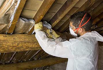 When Should I Call for Attic Insulation Removal Services? | Attic Cleaning Pleasanton, CA