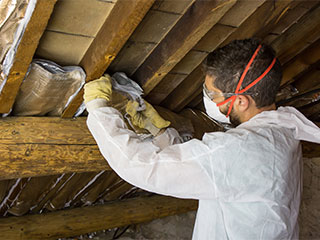 Call for Attic Insulation Removal Services | Attic Cleaning Pleasanton, CA Call for Attic Insulation Removal Services | Attic Cleaning Pleasanton, CA